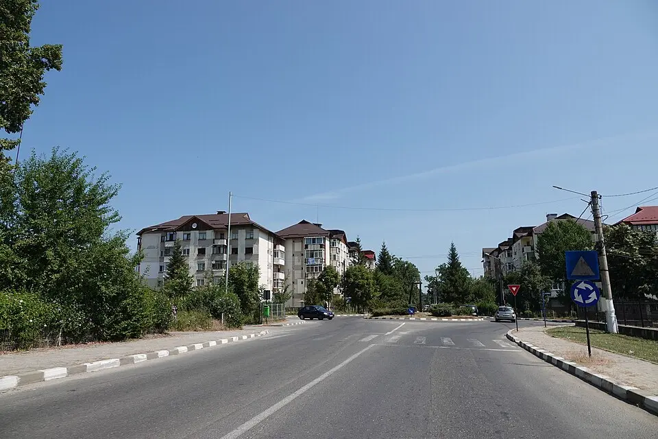 Obrázok: Nenea hartia · CC BY-SA 4.0 Plopeni