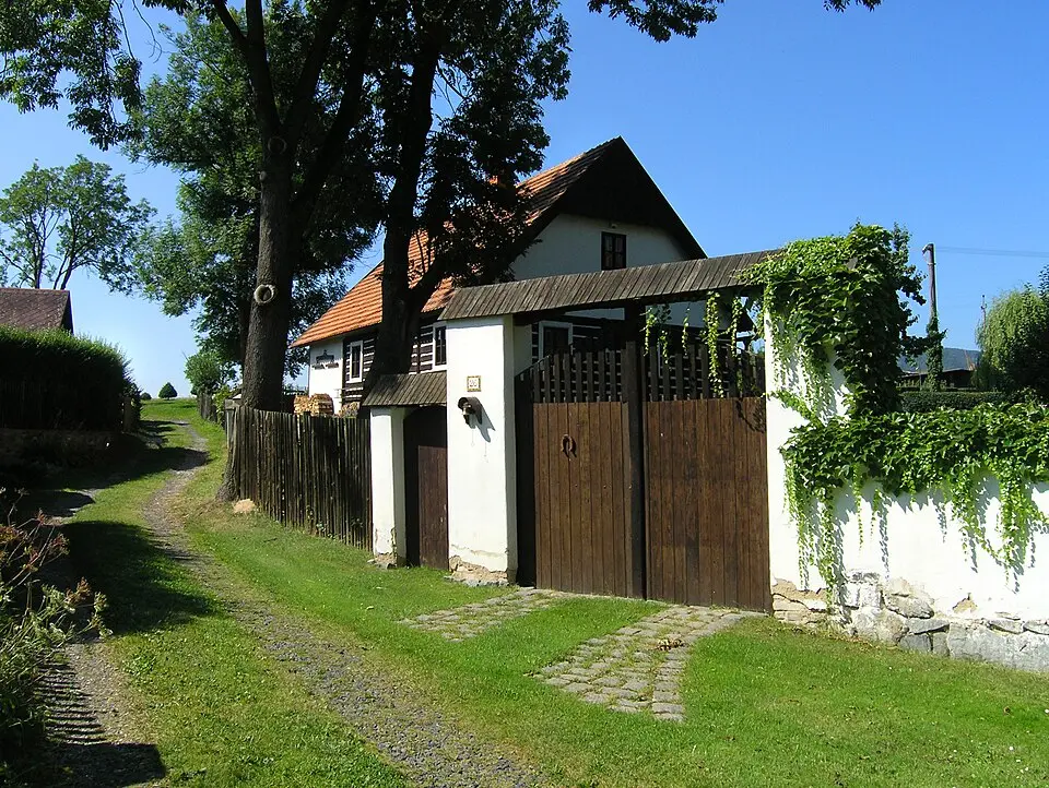 Vinné