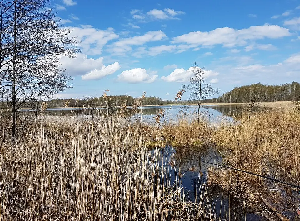 Плуцінок
