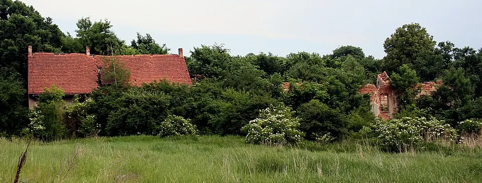 Pałac w Pniowie