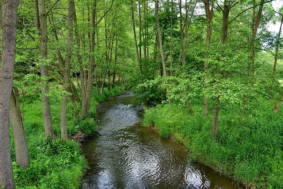 Střela