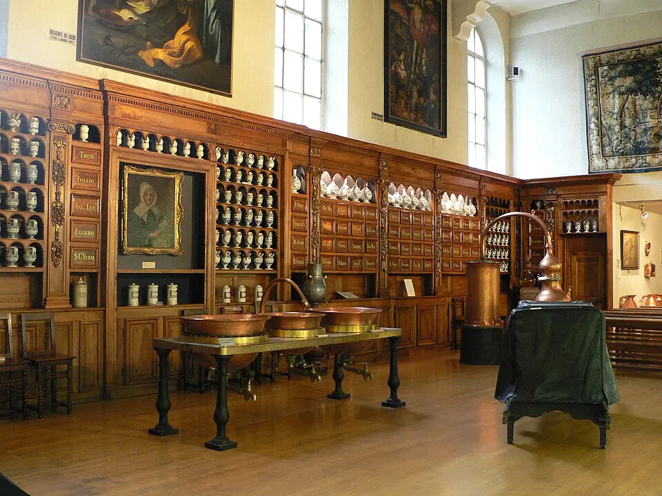 musée des Hospices civils de Lyon
