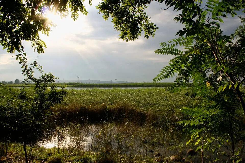 Naturschutzgebiet Poda