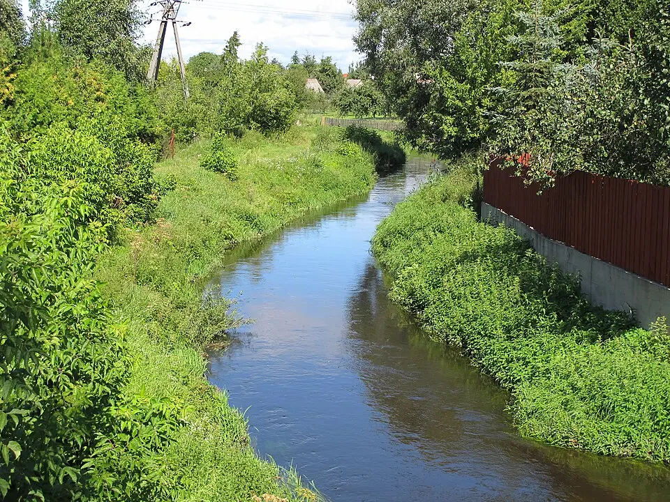 Biała