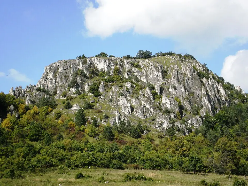 Roháč