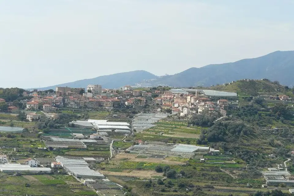 Poggio