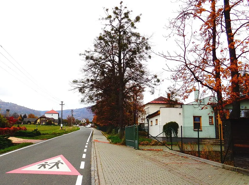 Karpentná