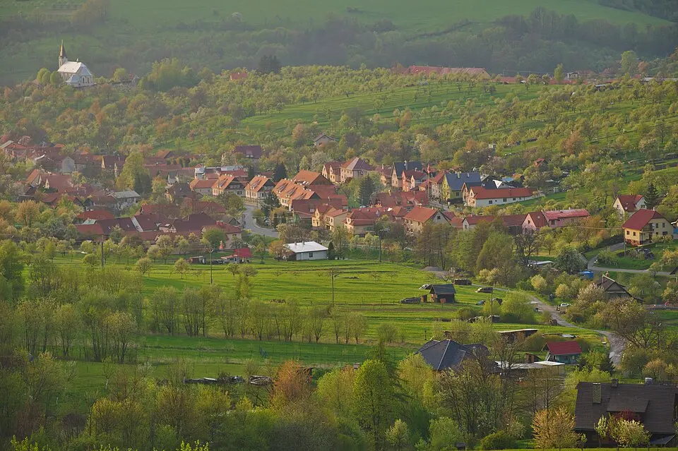 Nedašov