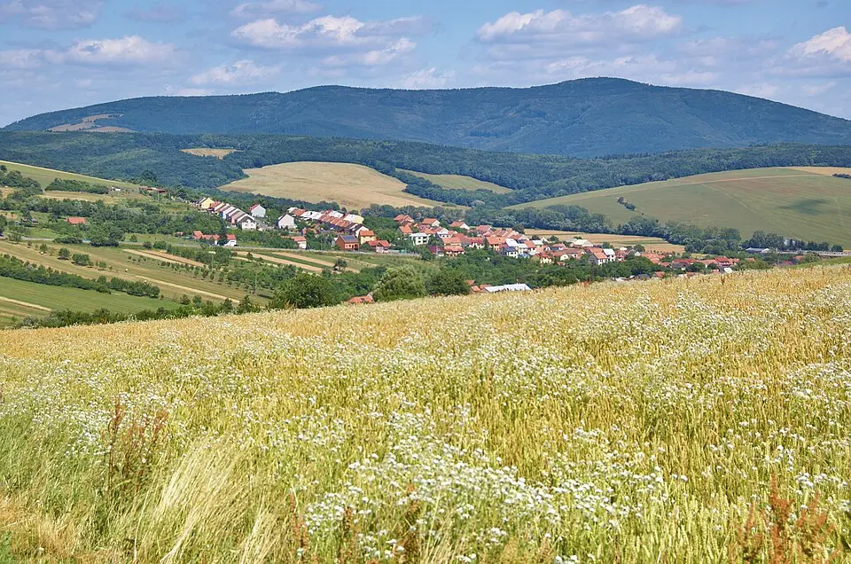 Lopenícka hornatina