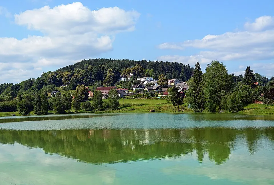 Immagine: Antonín Černý · CC BY 2.0 Zdíkovec