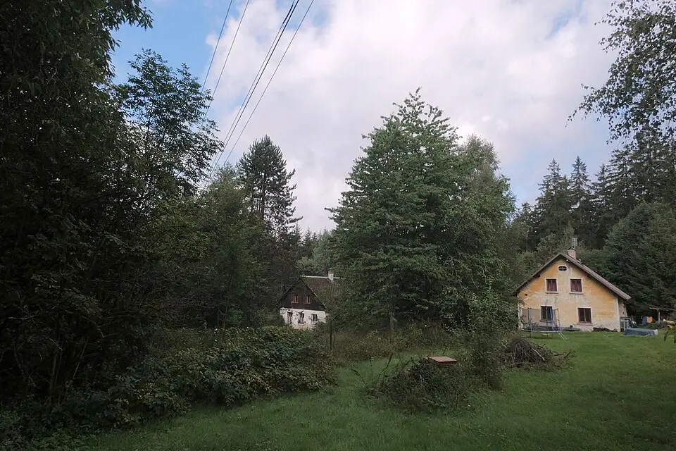 Leierwinkel