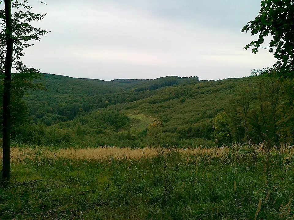 Obrázek: Martinnn · CC BY-SA 3.0 U Slepice