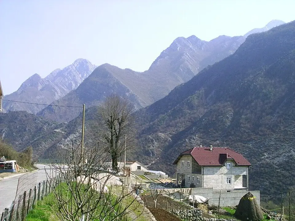 Čabulja