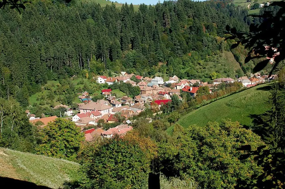 Poiana Mărului