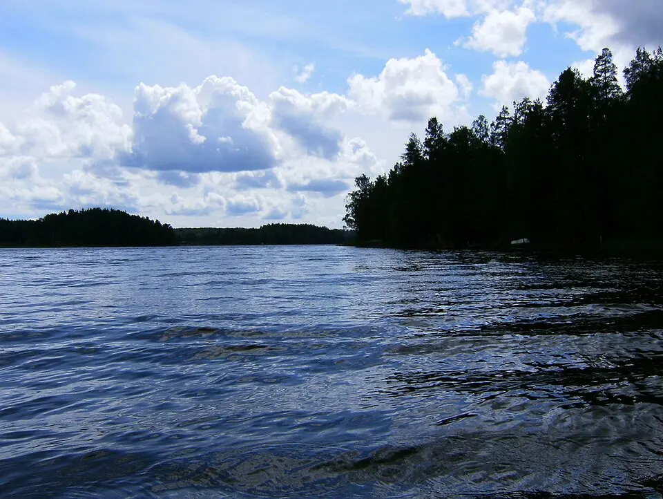 Poikkipuoliainen