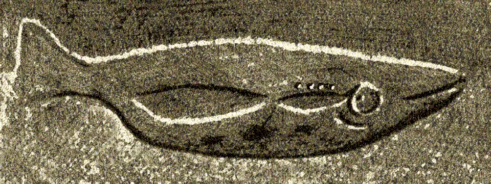 abri du Poisson