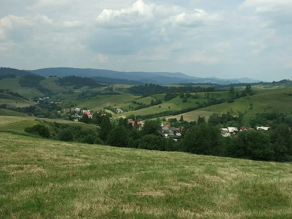 Immagine: Oto Zapletal · CC BY-SA 4.0 Pokryváč