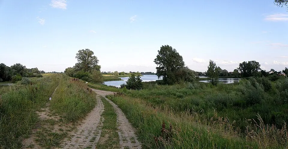 Bild: Hiuppo · CC BY-SA 3.0 Dziekanów Nowy