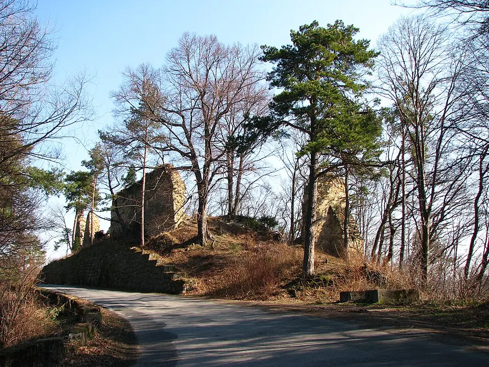 Zamek w Rożnowie