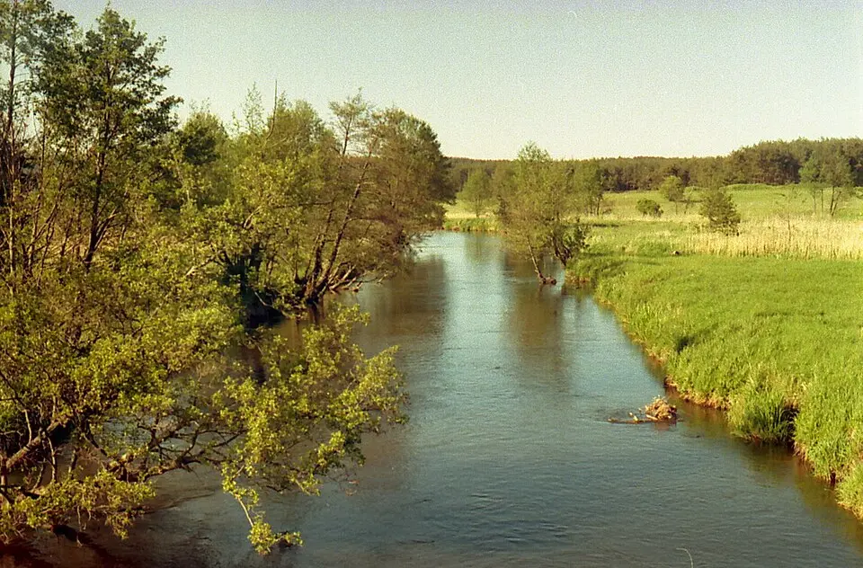 Łupawa (rzeka)