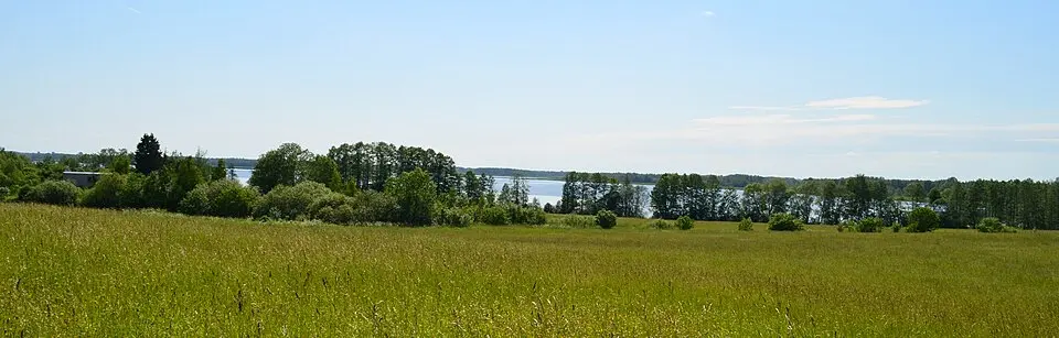 Apvardai