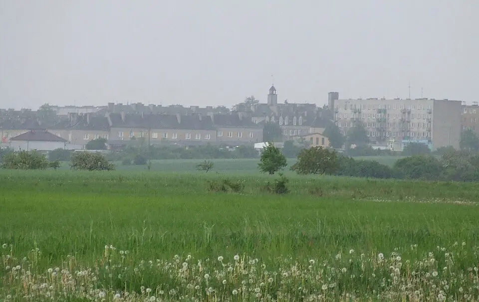 Wierzbica