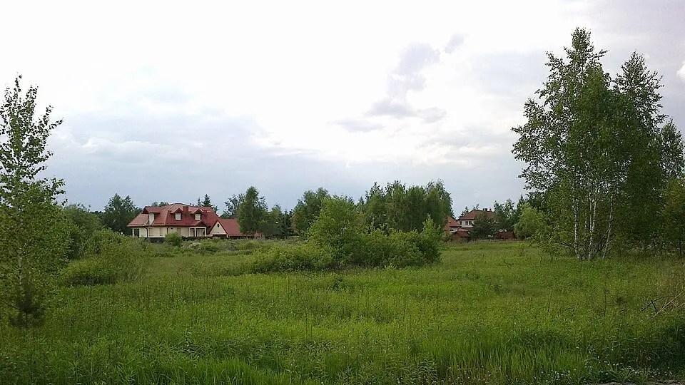 Czarnów