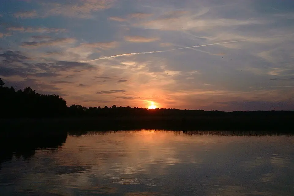 Roś