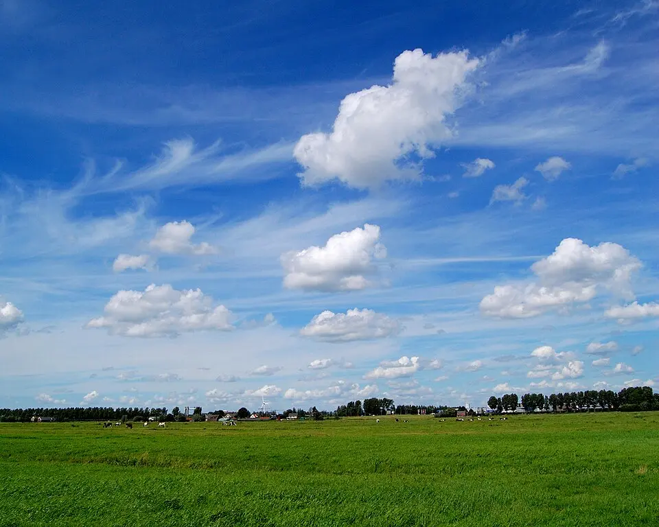 Zuidplaspolder