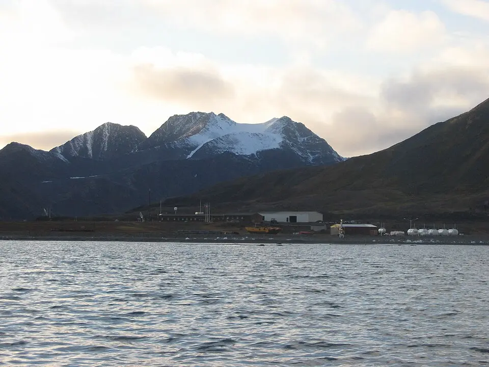 Isbjørnhamna
