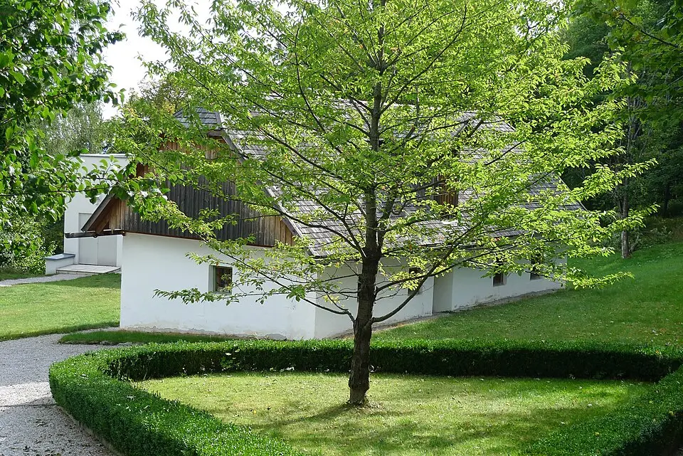Sog. Pollerosshaus