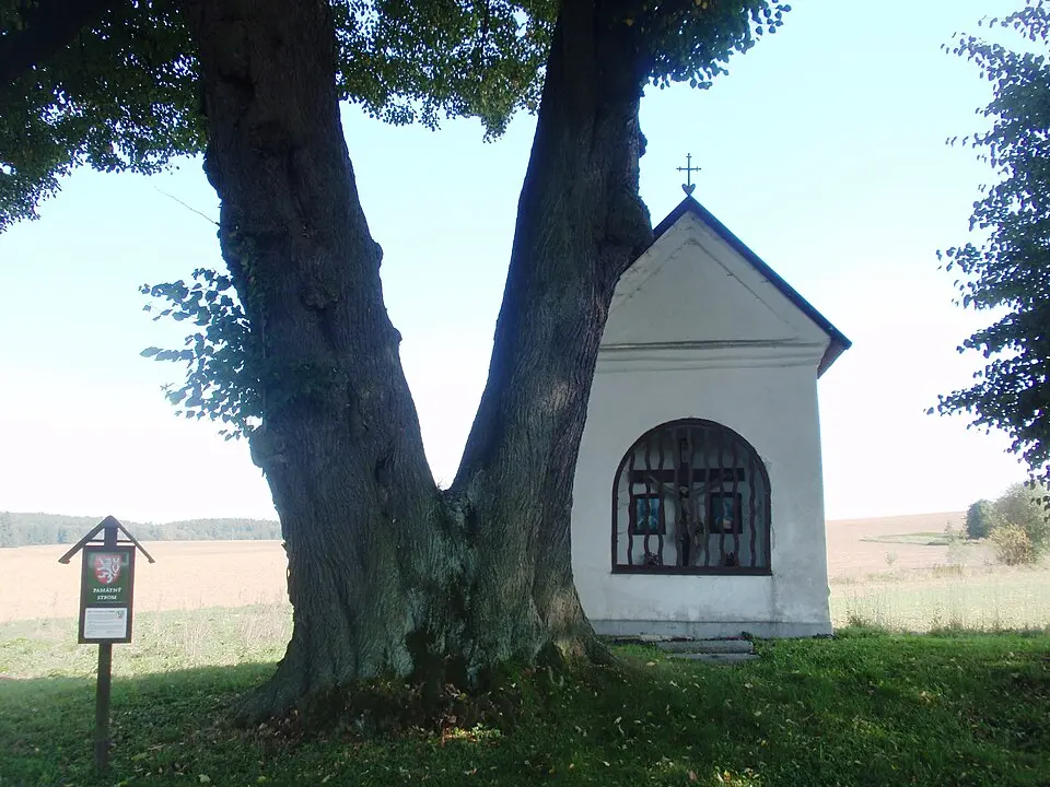 Polnička
