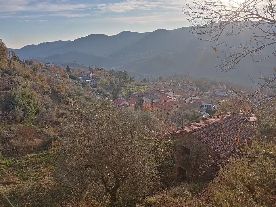 Polverara