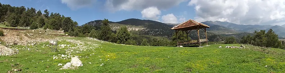 Yüreğil