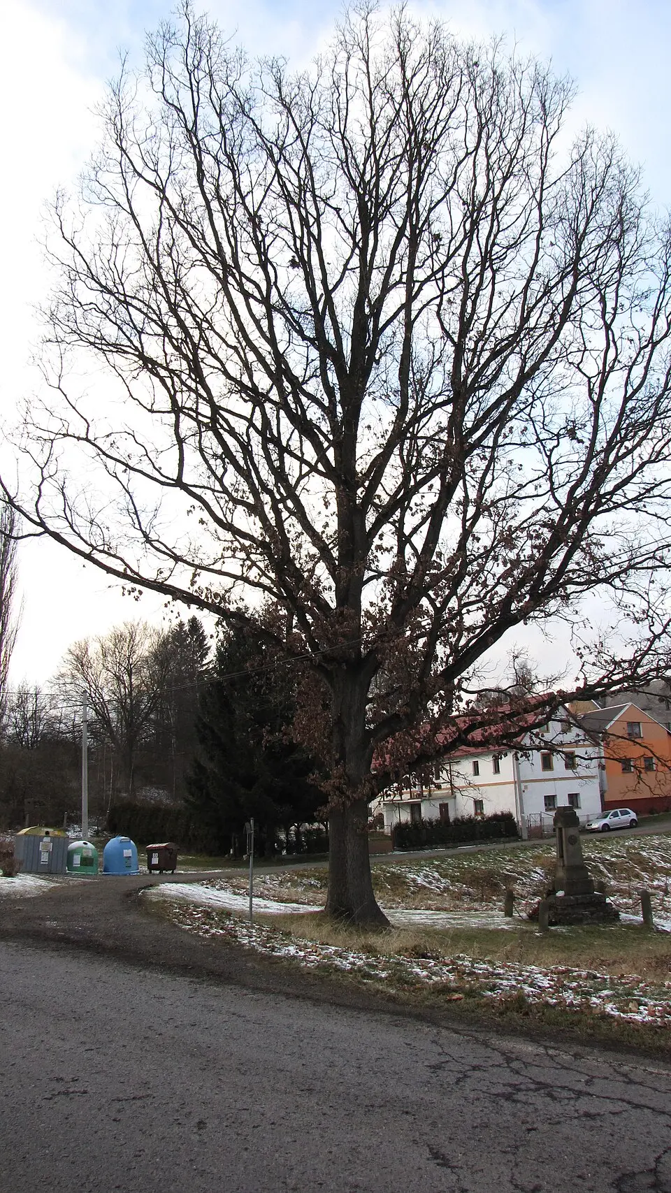 Radyně