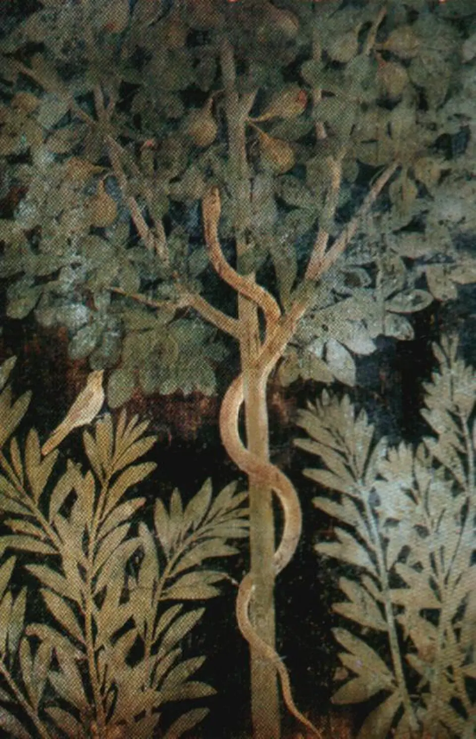 casa dei Cubicoli floreali