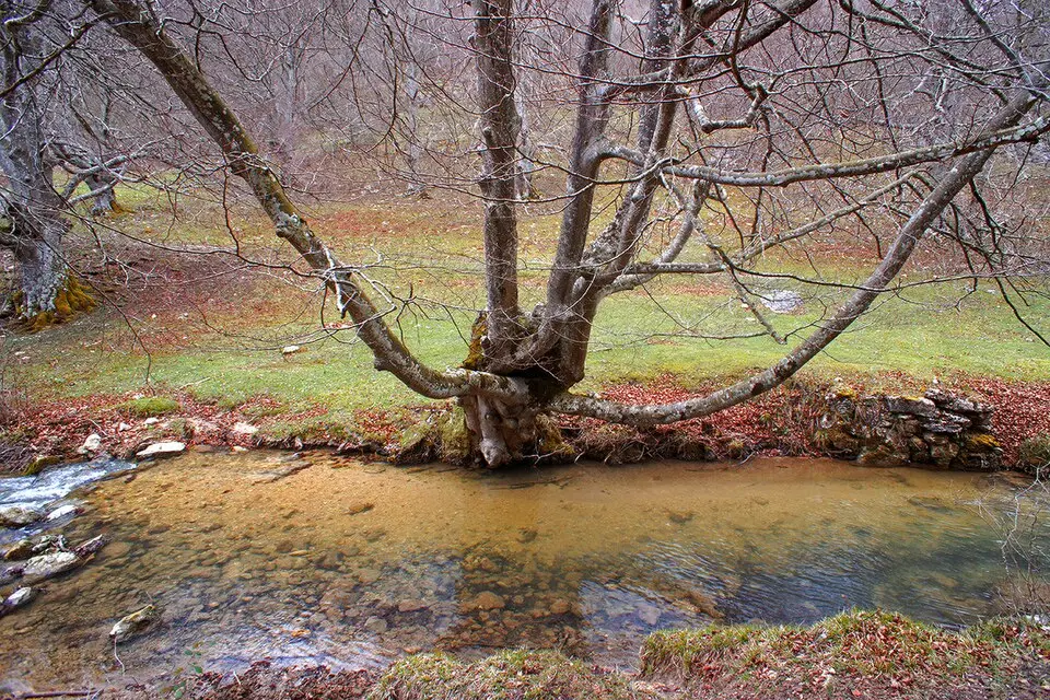 río Ayuda