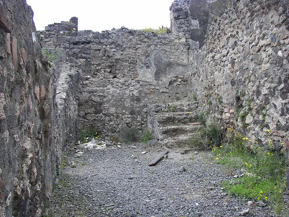 bottega (VII.13.13)
