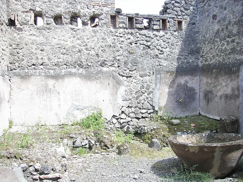 officina lanifricaria (VII.11.5)