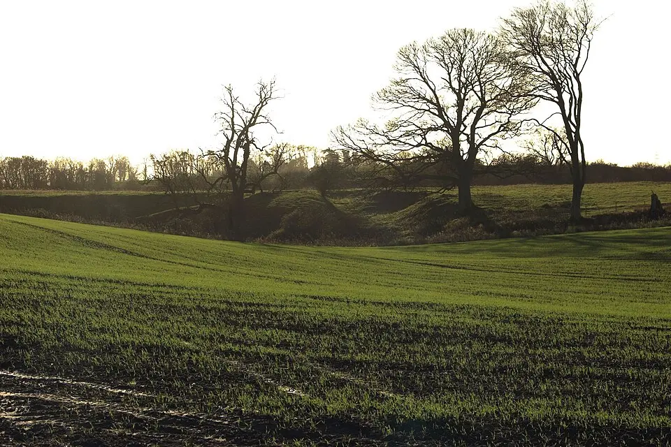 Low Buston medieval settlement, 231m south east of Low Buston Hall