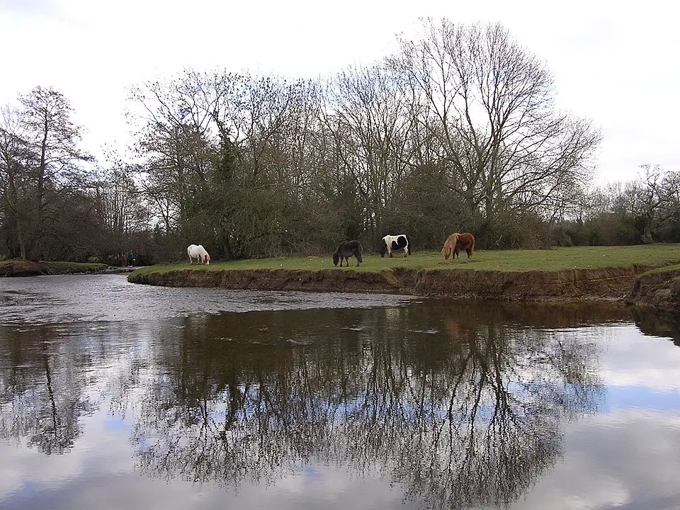 Lymington River