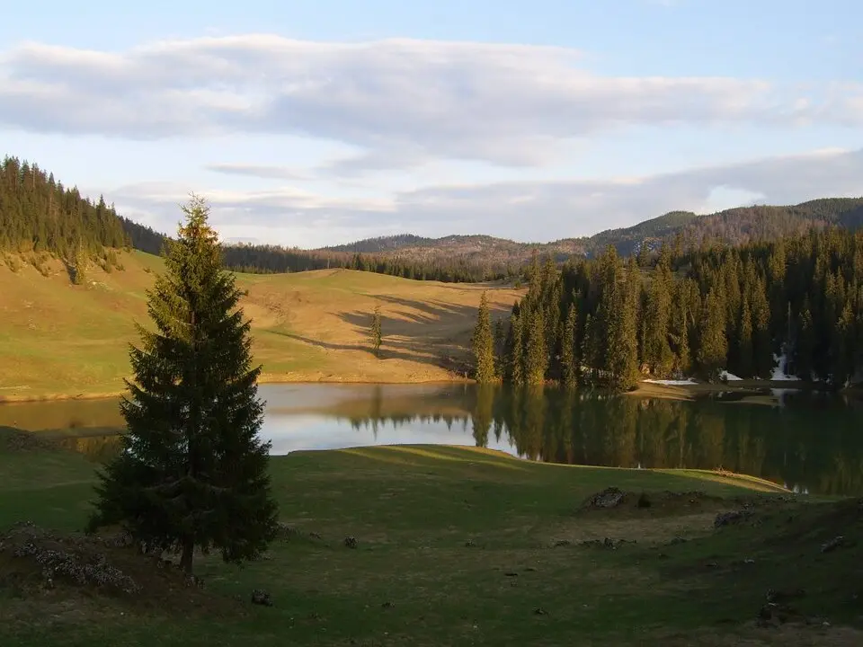 Platoul Carstic Padiș