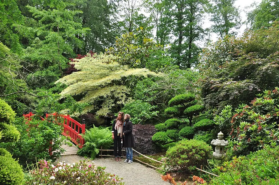 parco botanico dell'Alta Bretagna
