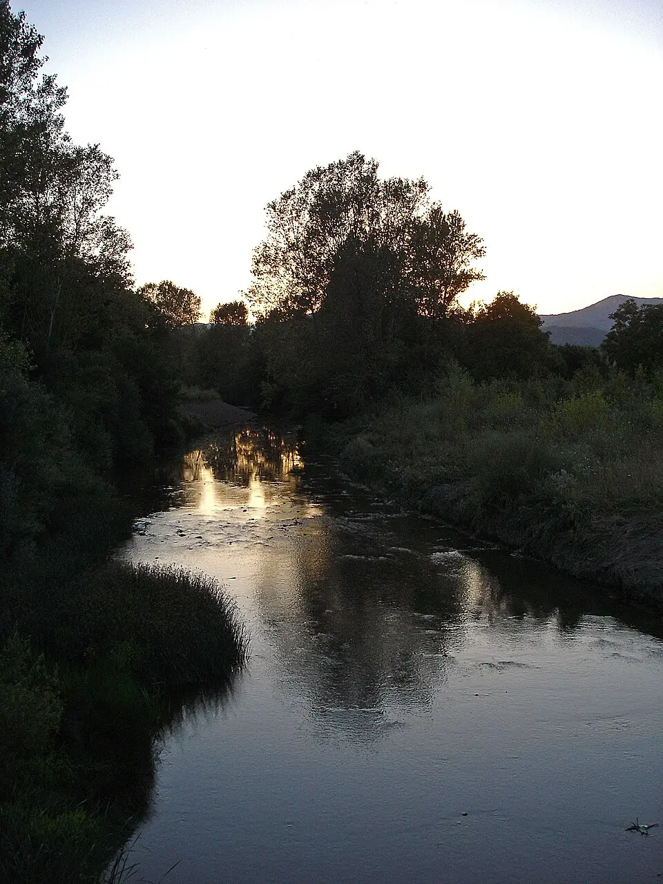 Arakil