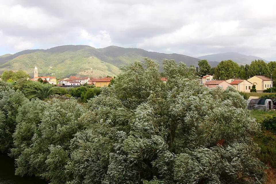 Pontasserchio