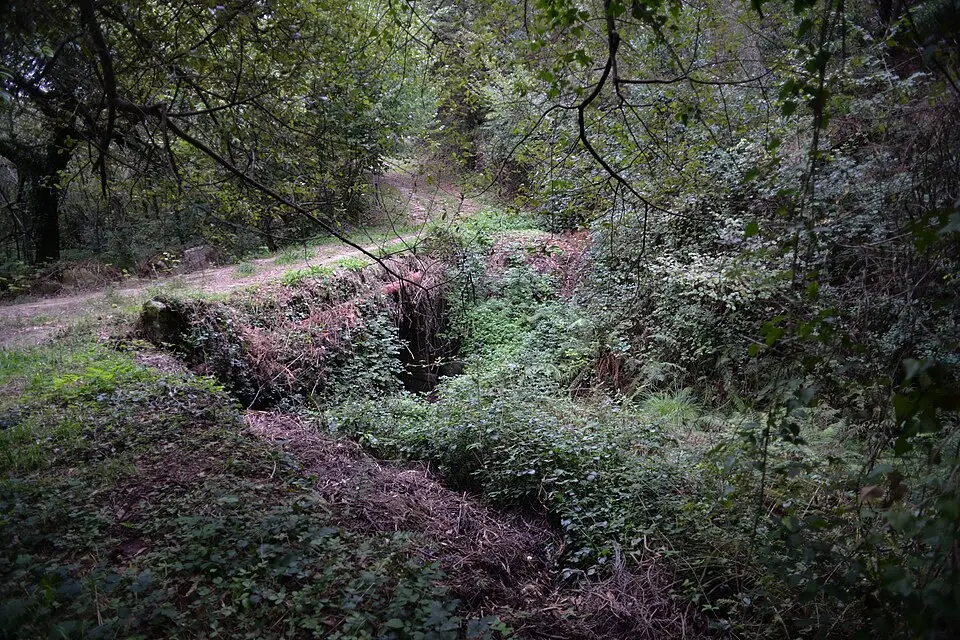 Ponte de Cavalos