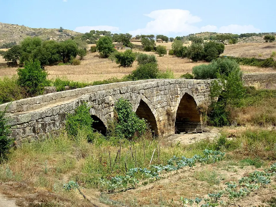 Ponsul