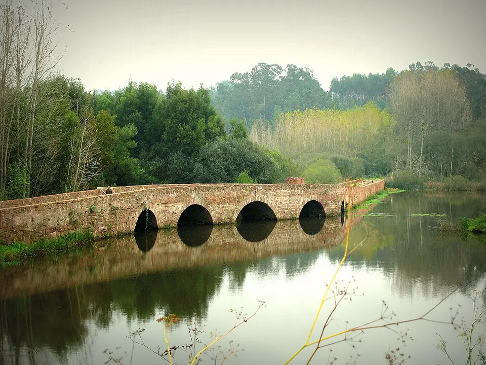 Trofa, Segadães e Lamas do Vouga
