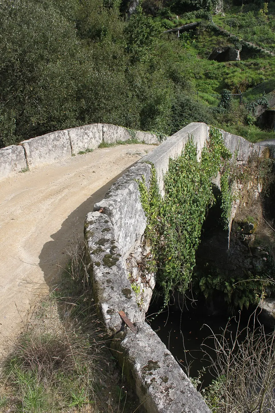 Ponte Velha