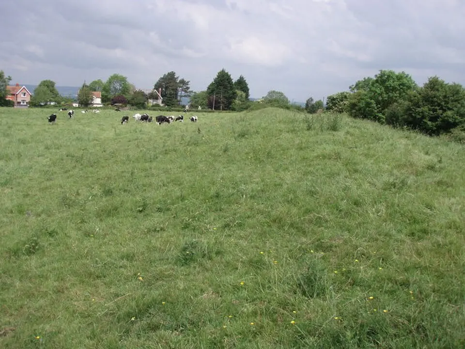 Ponter's Ball linear earthwork